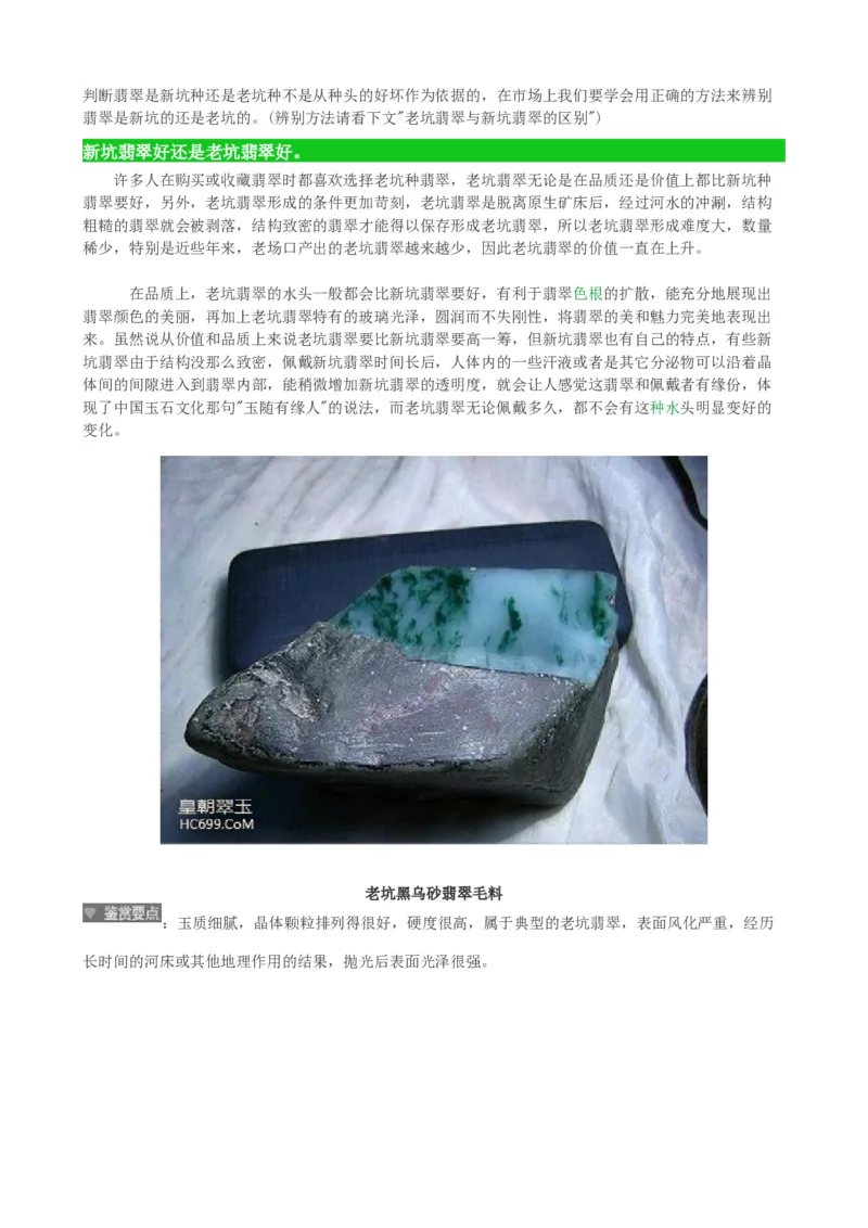 新坑种翡翠_X018-玉石珠宝鉴定教程最新合集_8、玉石翡翠鉴定与投资电子资料_赌石专题