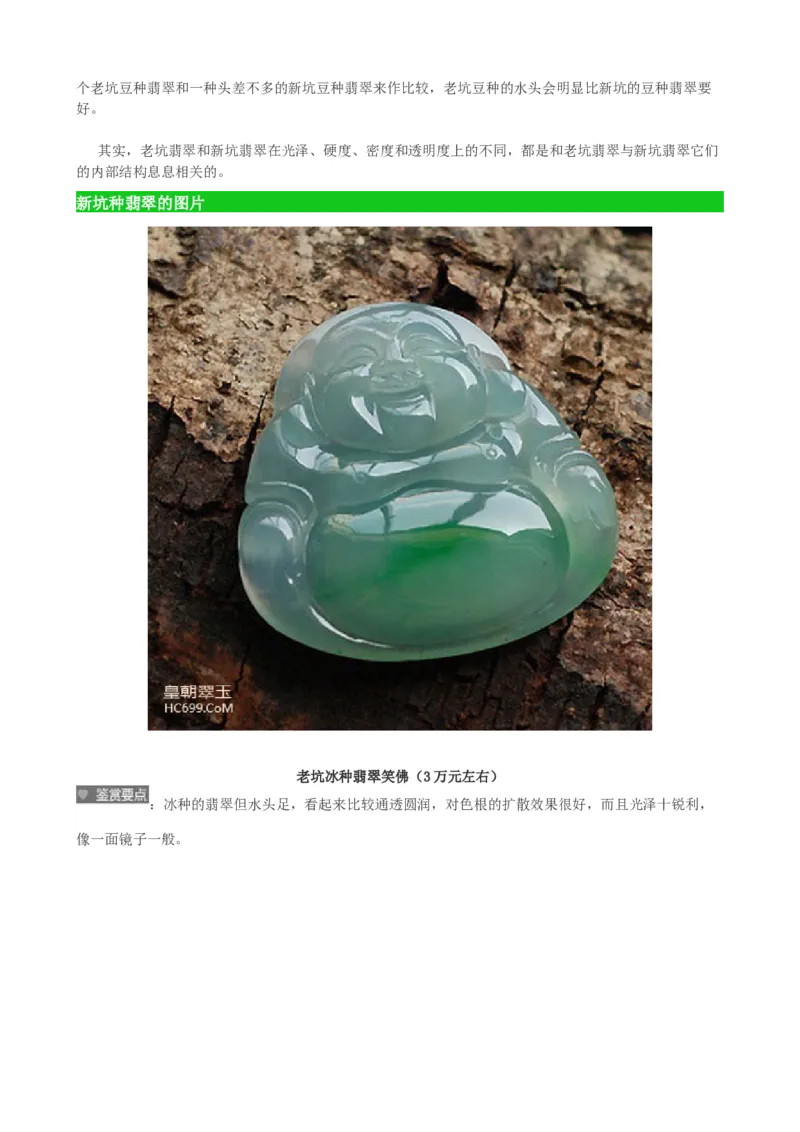 新坑种翡翠_X018-玉石珠宝鉴定教程最新合集_8、玉石翡翠鉴定与投资电子资料_赌石专题