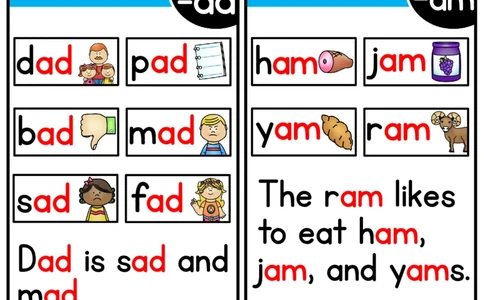 15本自然拼读卡片书_幼小衔接全套_7.幼小衔接全套_04、英语_3、英语卡片书和字母表