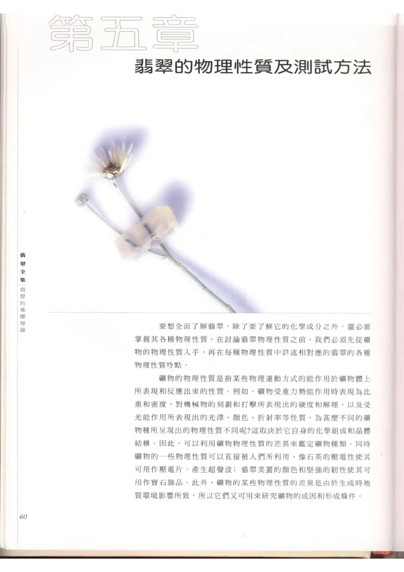 翡翠全集（上）_X018-玉石珠宝鉴定教程最新合集_6、翡翠鉴定专题全套课程_翡翠电子书_翡翠品评