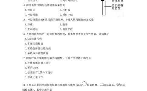 2016年高考生物试卷（浙江）（4月）（空白卷）_生物历年高考真题_新&middot;PDF版2008-2025&middot;高考生物真题_生物（按试卷类型分类）2008-2025_自主命题卷&middot;生物（2008-2025）