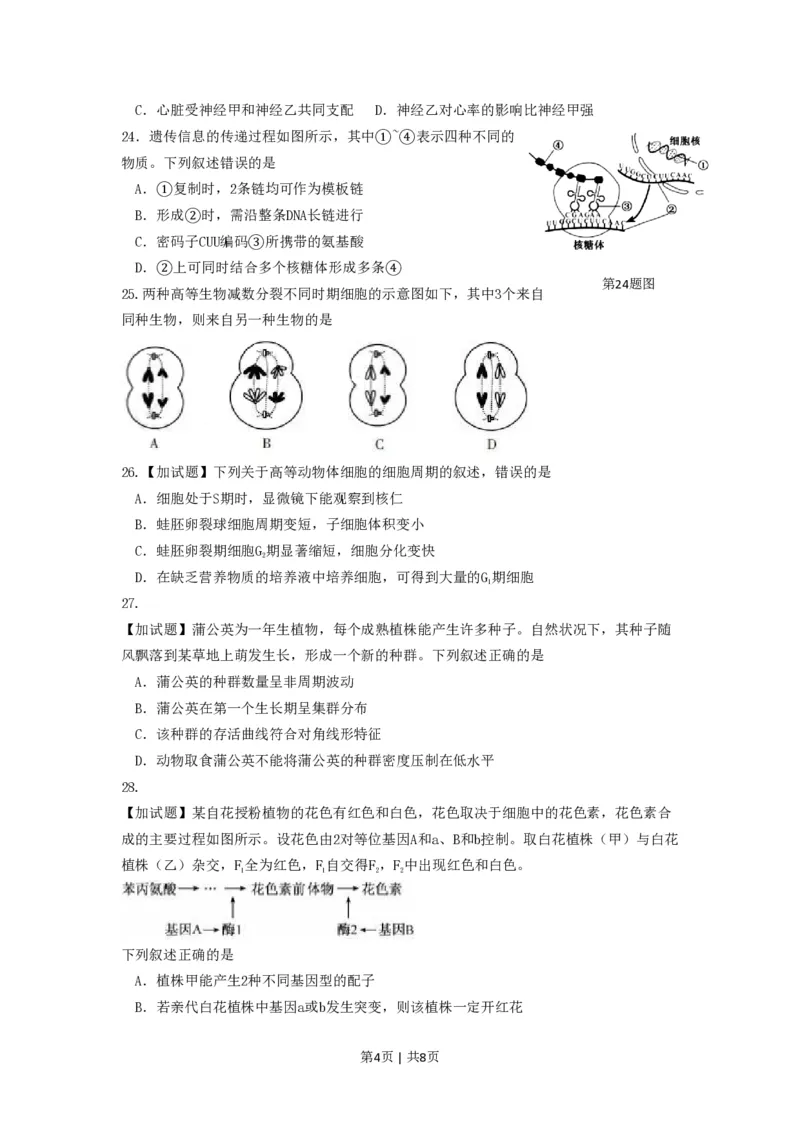 2016年高考生物试卷（浙江）（4月）（空白卷）_生物历年高考真题_新&middot;PDF版2008-2025&middot;高考生物真题_生物（按试卷类型分类）2008-2025_自主命题卷&middot;生物（2008-2025）