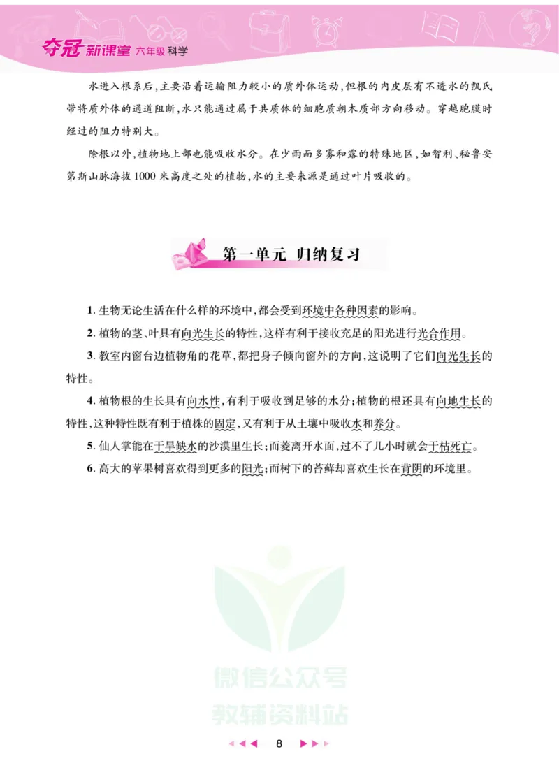 《夺冠新课堂》六年级上册科学大象版_2024年人教版小学数学一二三四五六年级上册下册期中期末试a0747_小学全科《同步练习+精品试卷》打包下载（1-6年级单元月考期中期末试卷）