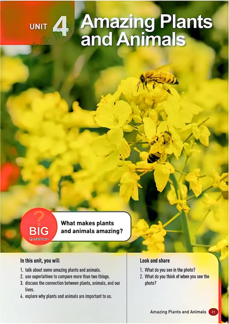 25秋8上英语新版_初中英语新版_最新人教版英语八年级上册_新版_初中英语8上新更新第三套可选择_07课堂笔记_原文PDF