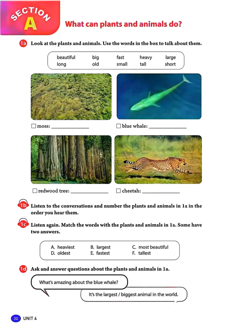 25秋8上英语新版_初中英语新版_最新人教版英语八年级上册_新版_初中英语8上新更新第三套可选择_07课堂笔记_原文PDF