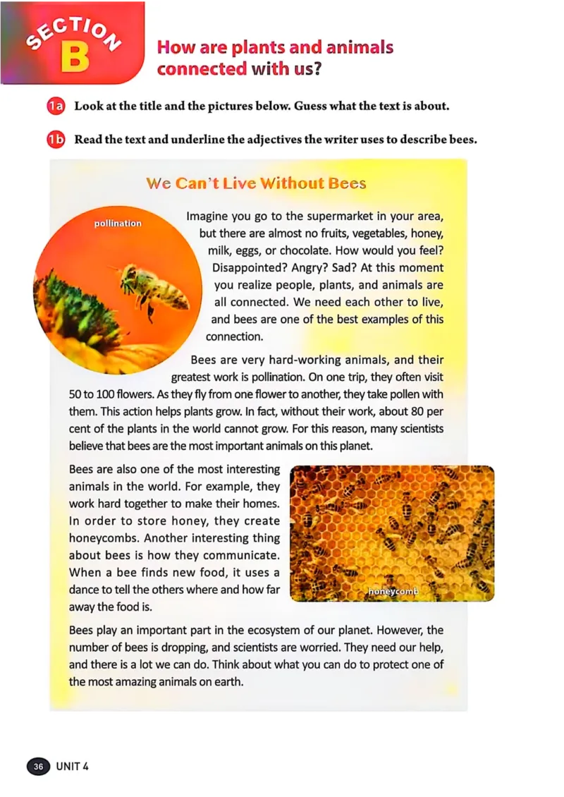 25秋8上英语新版_初中英语新版_最新人教版英语八年级上册_新版_初中英语8上新更新第三套可选择_07课堂笔记_原文PDF