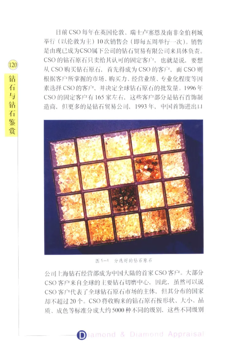 钻石与钻石鉴赏_11486542_X018-玉石珠宝鉴定教程最新合集_4、珠宝玉石鉴定投资手册合集