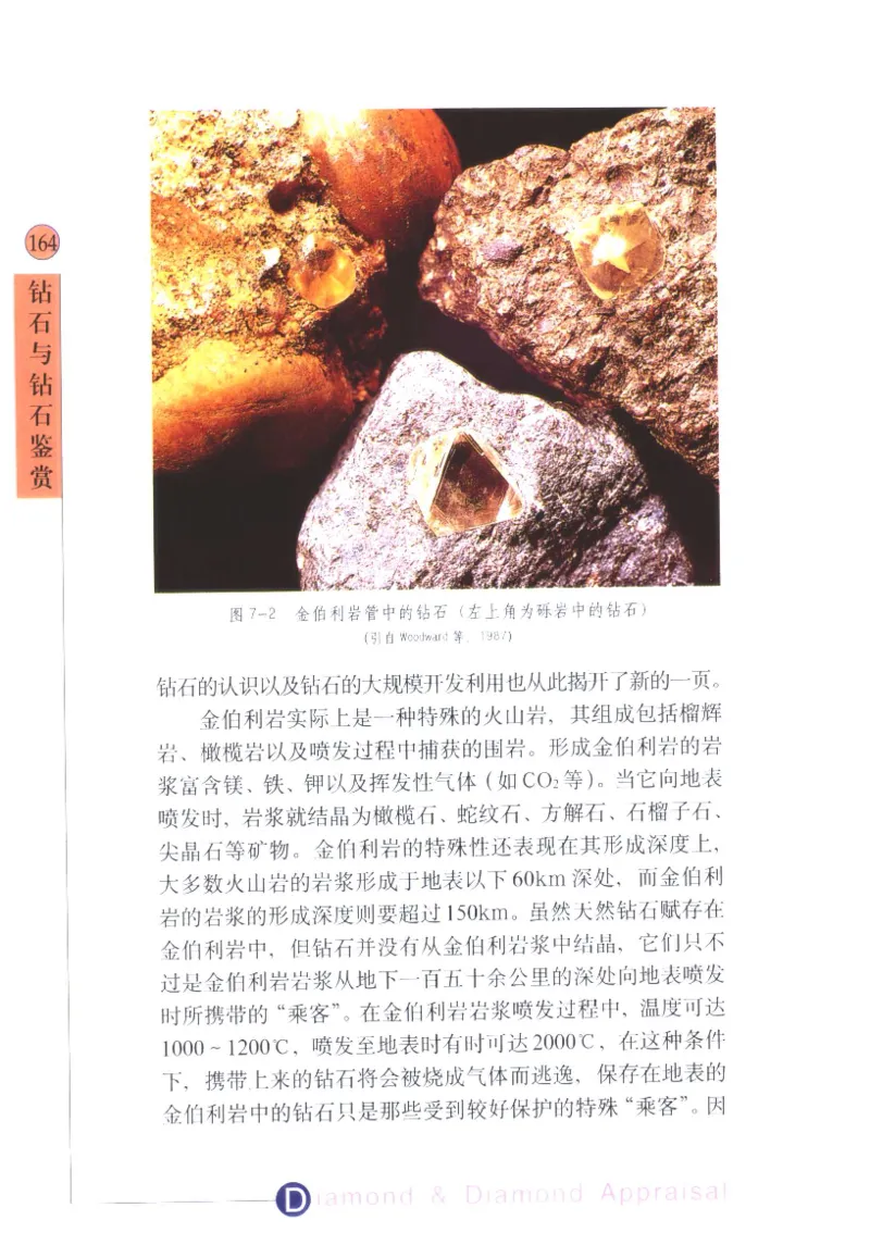 钻石与钻石鉴赏_11486542_X018-玉石珠宝鉴定教程最新合集_4、珠宝玉石鉴定投资手册合集