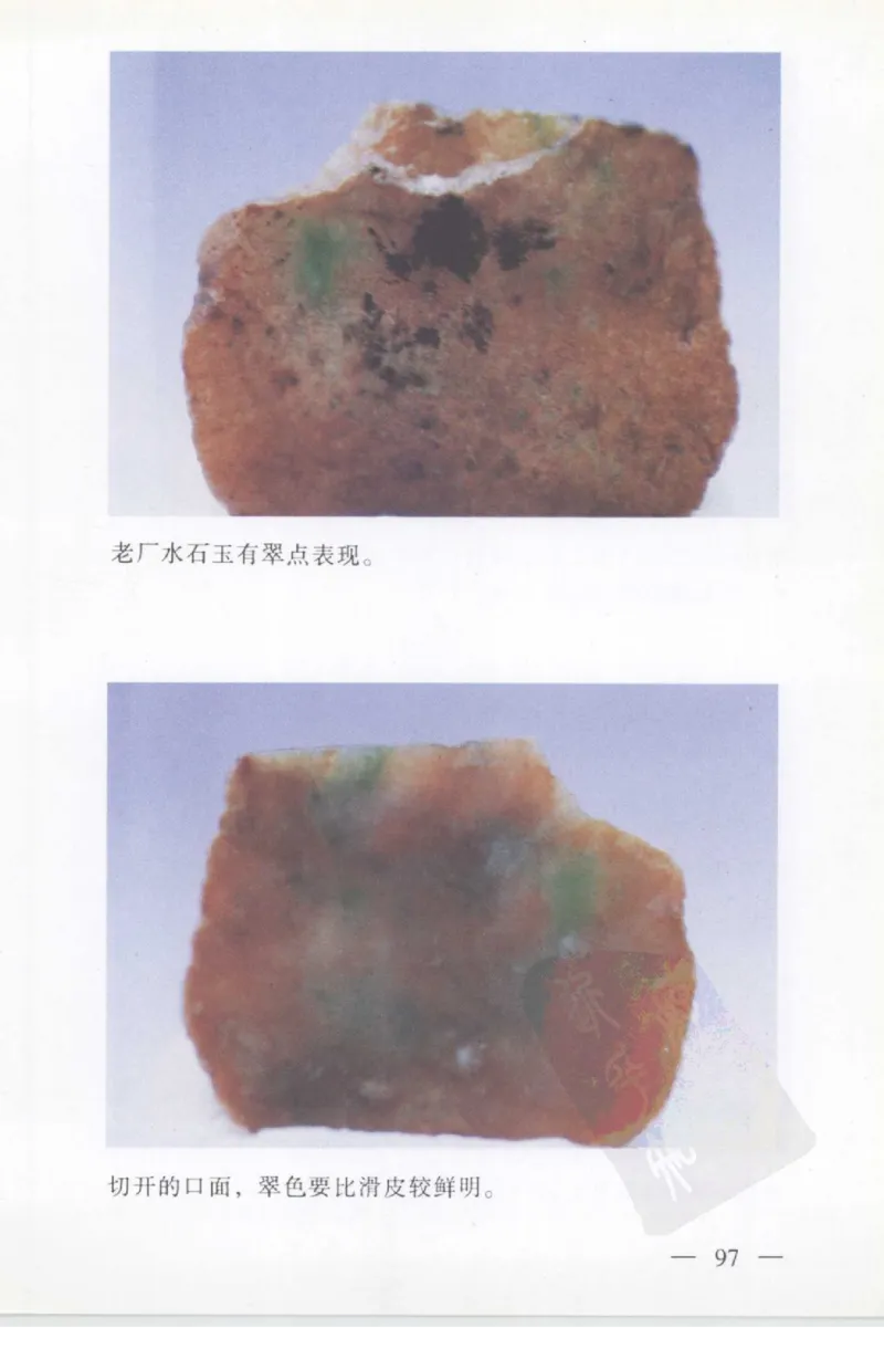 云南相玉学_X018-玉石珠宝鉴定教程最新合集_5、玉石鉴定专题全套课程_玉石电子书_玉石电子书