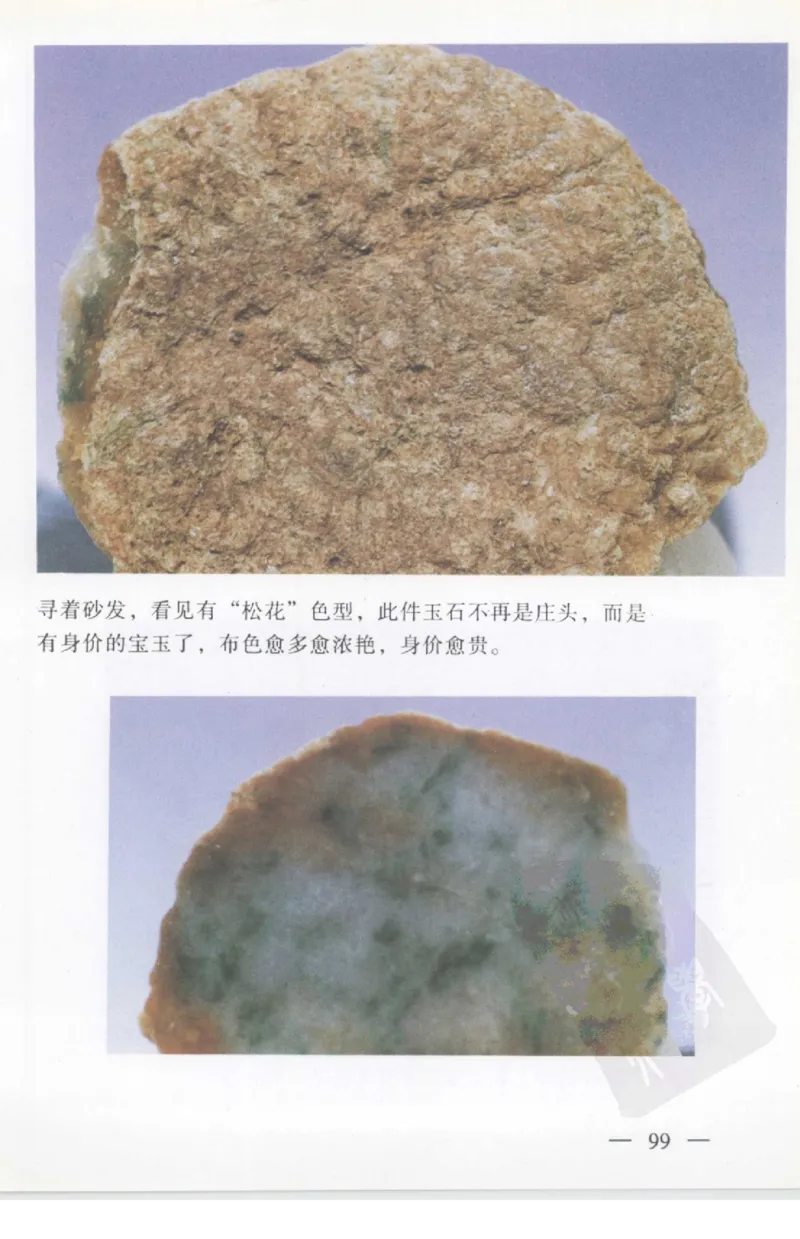 云南相玉学_X018-玉石珠宝鉴定教程最新合集_5、玉石鉴定专题全套课程_玉石电子书_玉石电子书