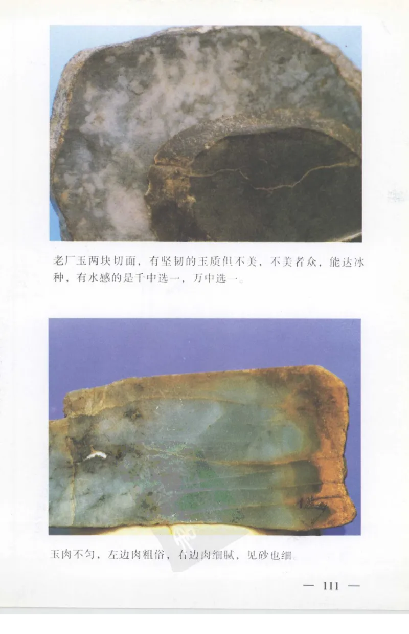云南相玉学_X018-玉石珠宝鉴定教程最新合集_5、玉石鉴定专题全套课程_玉石电子书_玉石电子书