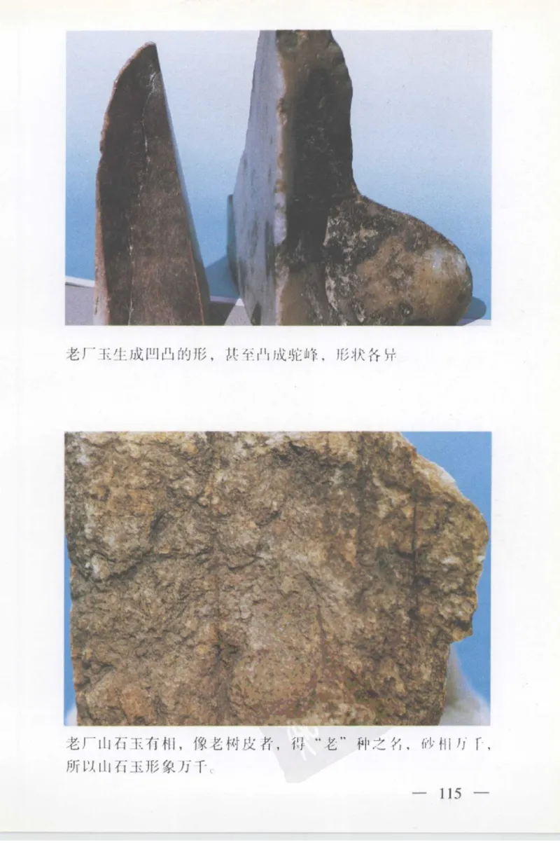 云南相玉学_X018-玉石珠宝鉴定教程最新合集_5、玉石鉴定专题全套课程_玉石电子书_玉石电子书