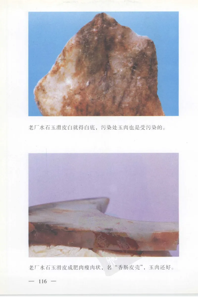云南相玉学_X018-玉石珠宝鉴定教程最新合集_5、玉石鉴定专题全套课程_玉石电子书_玉石电子书