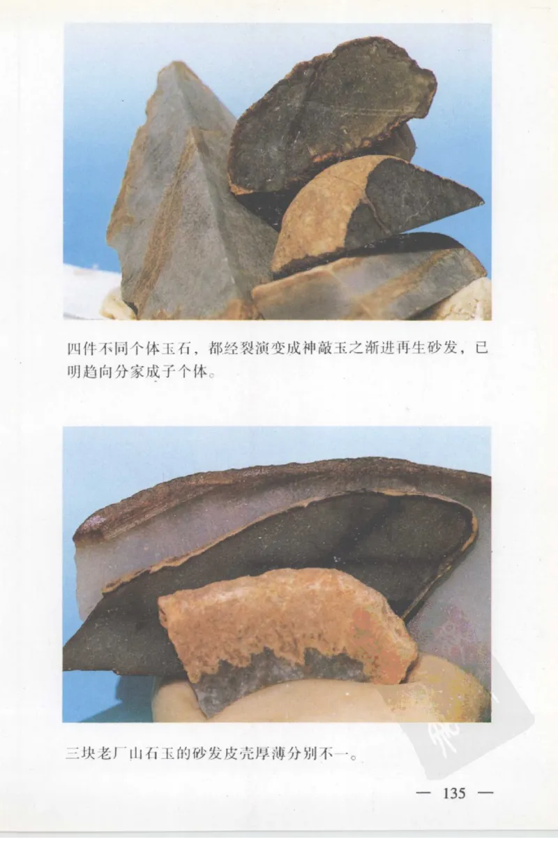 云南相玉学_X018-玉石珠宝鉴定教程最新合集_5、玉石鉴定专题全套课程_玉石电子书_玉石电子书