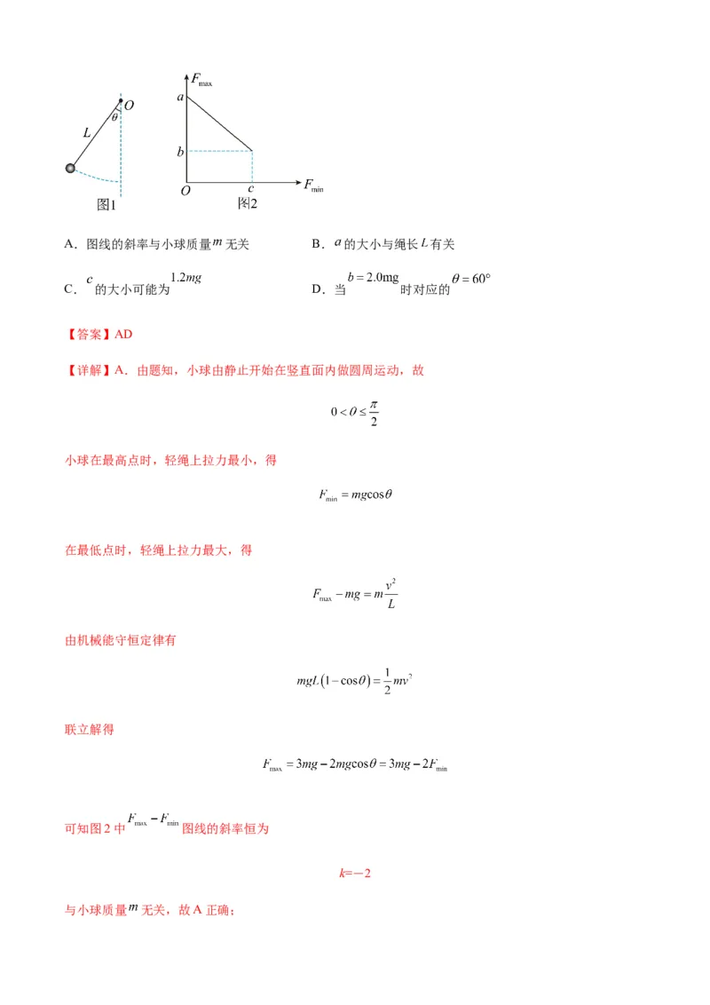 专题09圆周运动常考模型（解析版）_2025高中物理模型方法技巧高三复习专题练习讲义_新版高考物理模型与方法