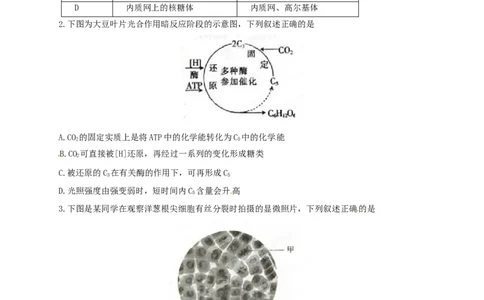 2015年高考生物试卷（安徽）（空白卷）_生物历年高考真题_新&middot;Word版2008-2025&middot;高考生物真题_生物（按年份分类）2008-2025_2015&middot;高考生物真题