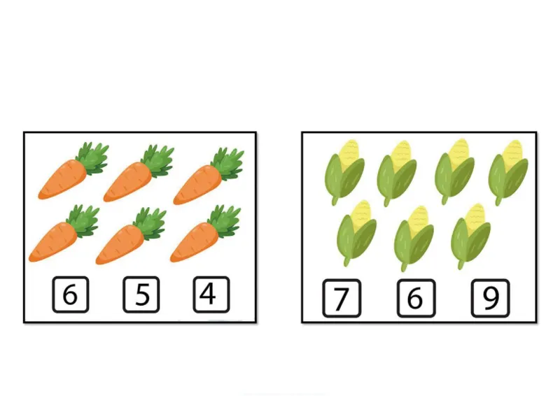 4.物数对应_幼小语数英专项资料_幼小数学专项