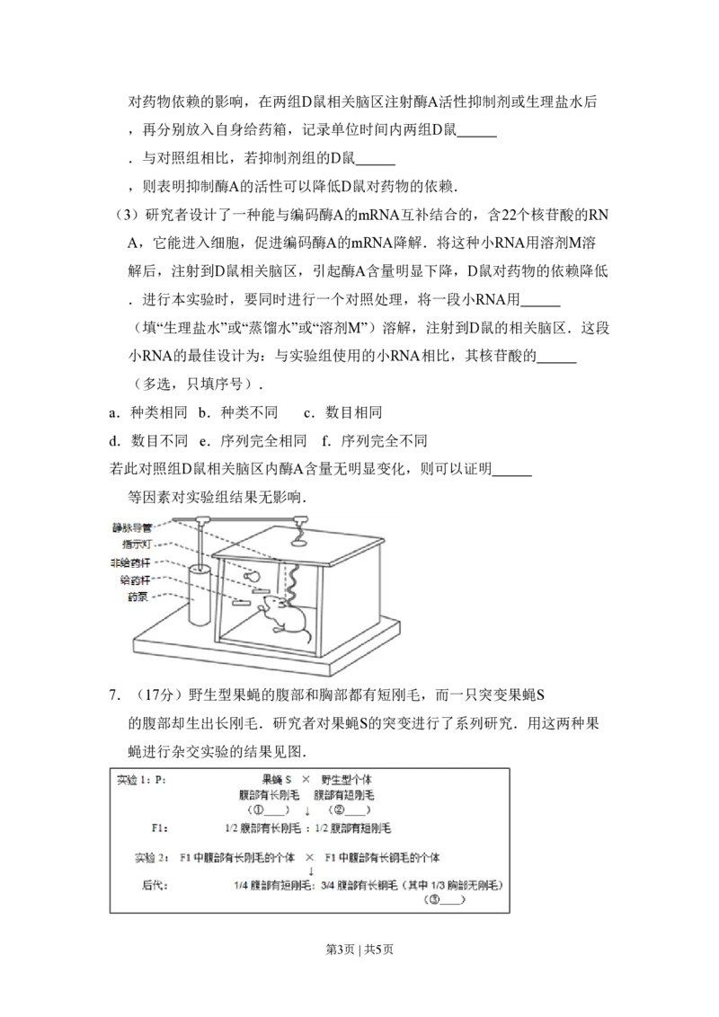 2015年高考生物试卷（北京）（空白卷）_生物历年高考真题_新&middot;PDF版2008-2025&middot;高考生物真题_生物（按年份分类）2008-2025_2015&middot;高考生物真题