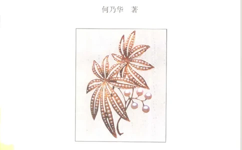 珍珠鉴赏_X018-玉石珠宝鉴定教程最新合集_3、珠宝玉石鉴赏学习资料合集