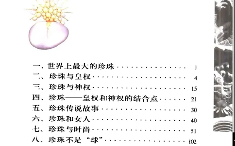 珍珠鉴赏_X018-玉石珠宝鉴定教程最新合集_3、珠宝玉石鉴赏学习资料合集