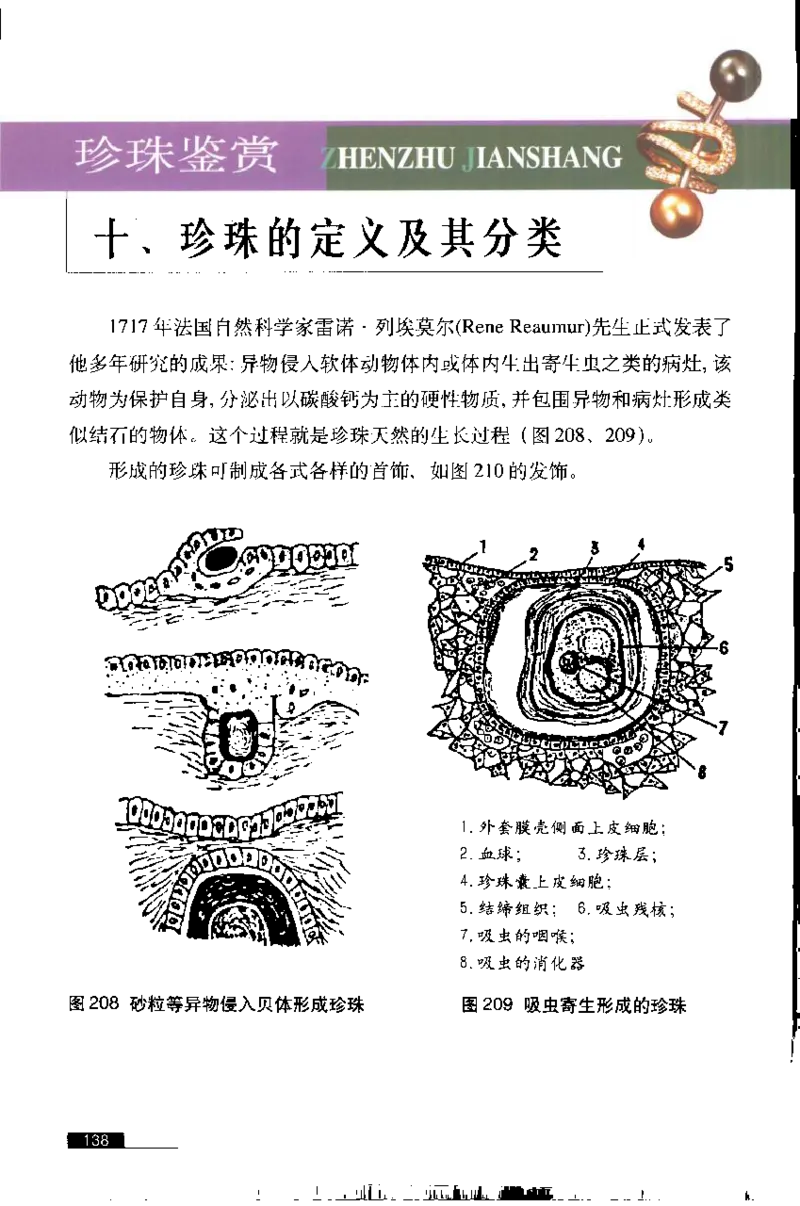 珍珠鉴赏_X018-玉石珠宝鉴定教程最新合集_3、珠宝玉石鉴赏学习资料合集