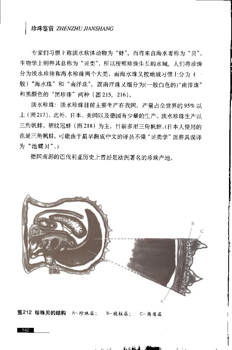 珍珠鉴赏_X018-玉石珠宝鉴定教程最新合集_3、珠宝玉石鉴赏学习资料合集