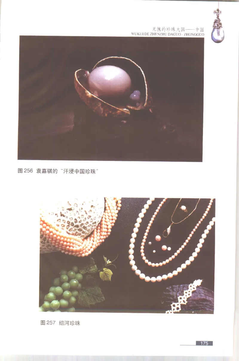 珍珠鉴赏_X018-玉石珠宝鉴定教程最新合集_3、珠宝玉石鉴赏学习资料合集