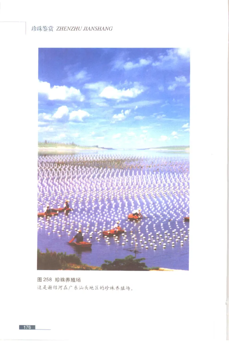 珍珠鉴赏_X018-玉石珠宝鉴定教程最新合集_3、珠宝玉石鉴赏学习资料合集