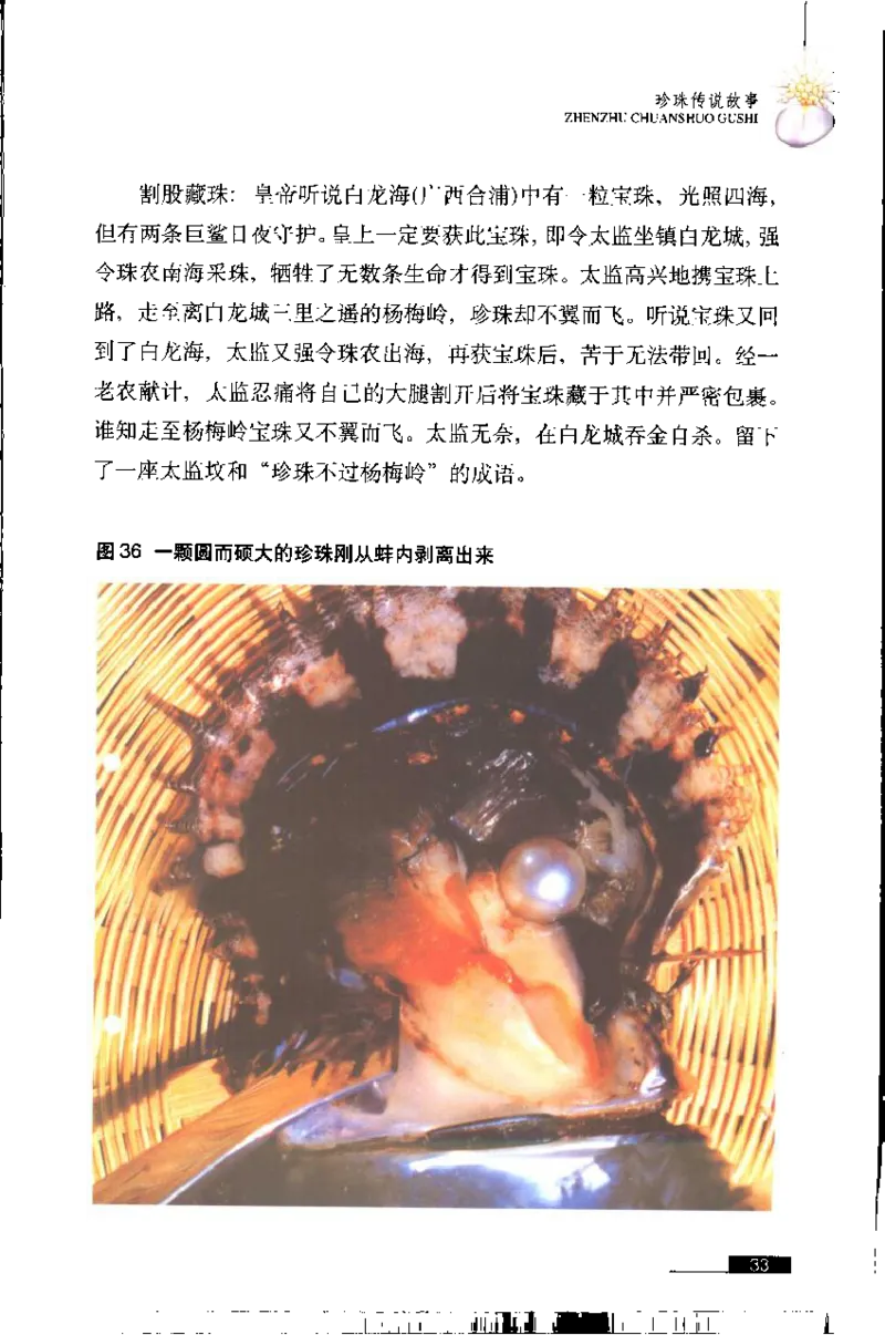 珍珠鉴赏_X018-玉石珠宝鉴定教程最新合集_3、珠宝玉石鉴赏学习资料合集