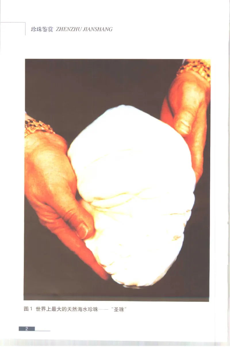 珍珠鉴赏_X018-玉石珠宝鉴定教程最新合集_3、珠宝玉石鉴赏学习资料合集