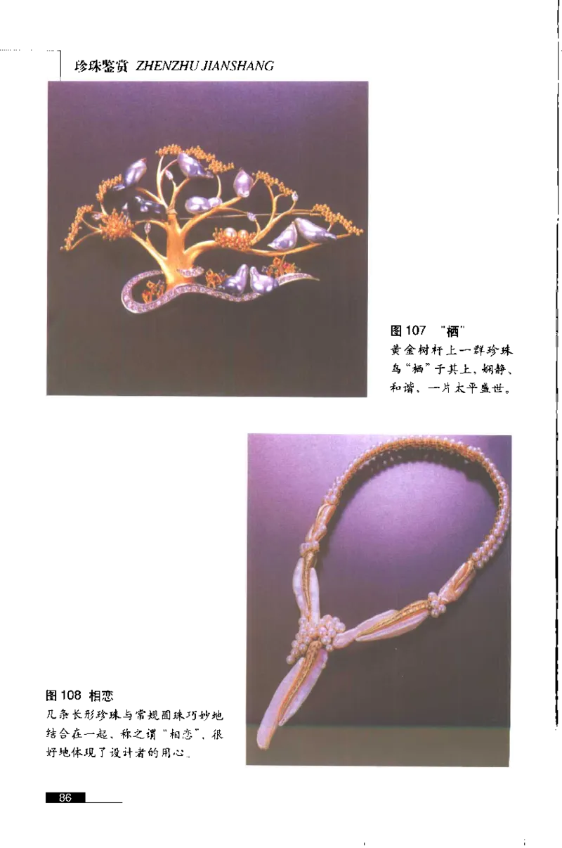 珍珠鉴赏_X018-玉石珠宝鉴定教程最新合集_3、珠宝玉石鉴赏学习资料合集