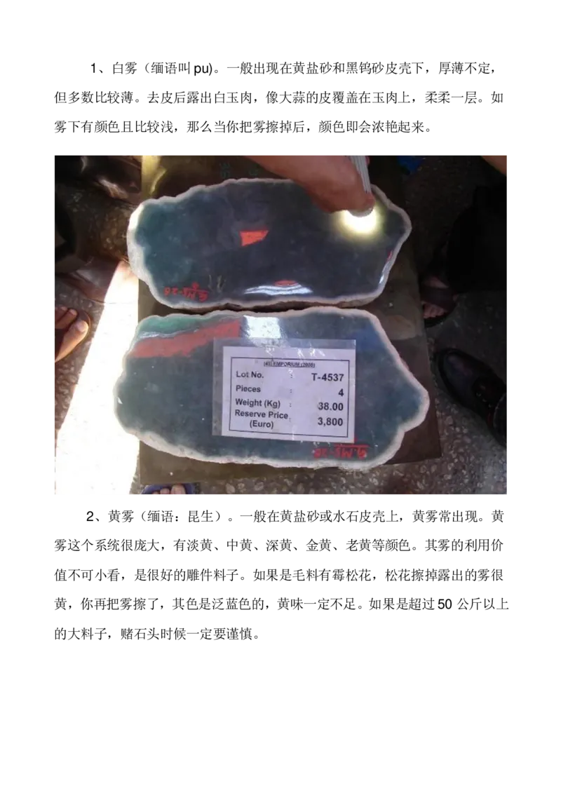 闻香讲翡翠_X018-玉石珠宝鉴定教程最新合集_8、玉石翡翠鉴定与投资电子资料