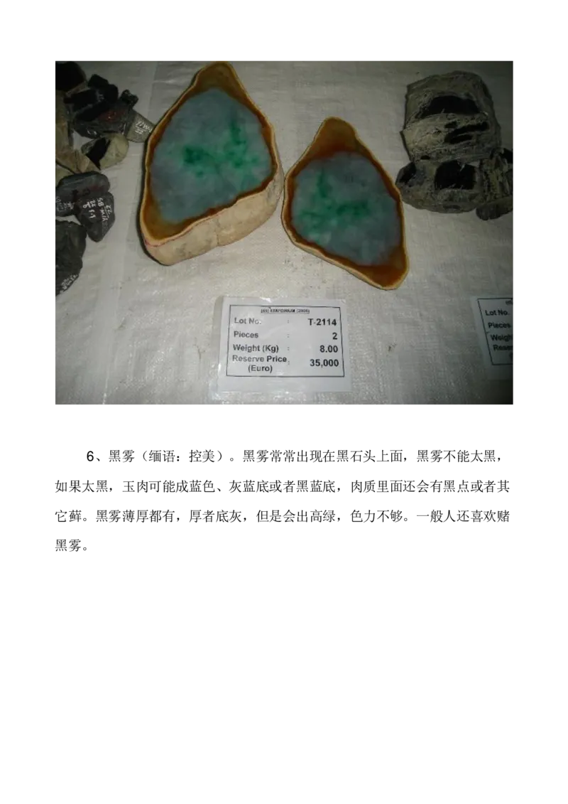 闻香讲翡翠_X018-玉石珠宝鉴定教程最新合集_8、玉石翡翠鉴定与投资电子资料