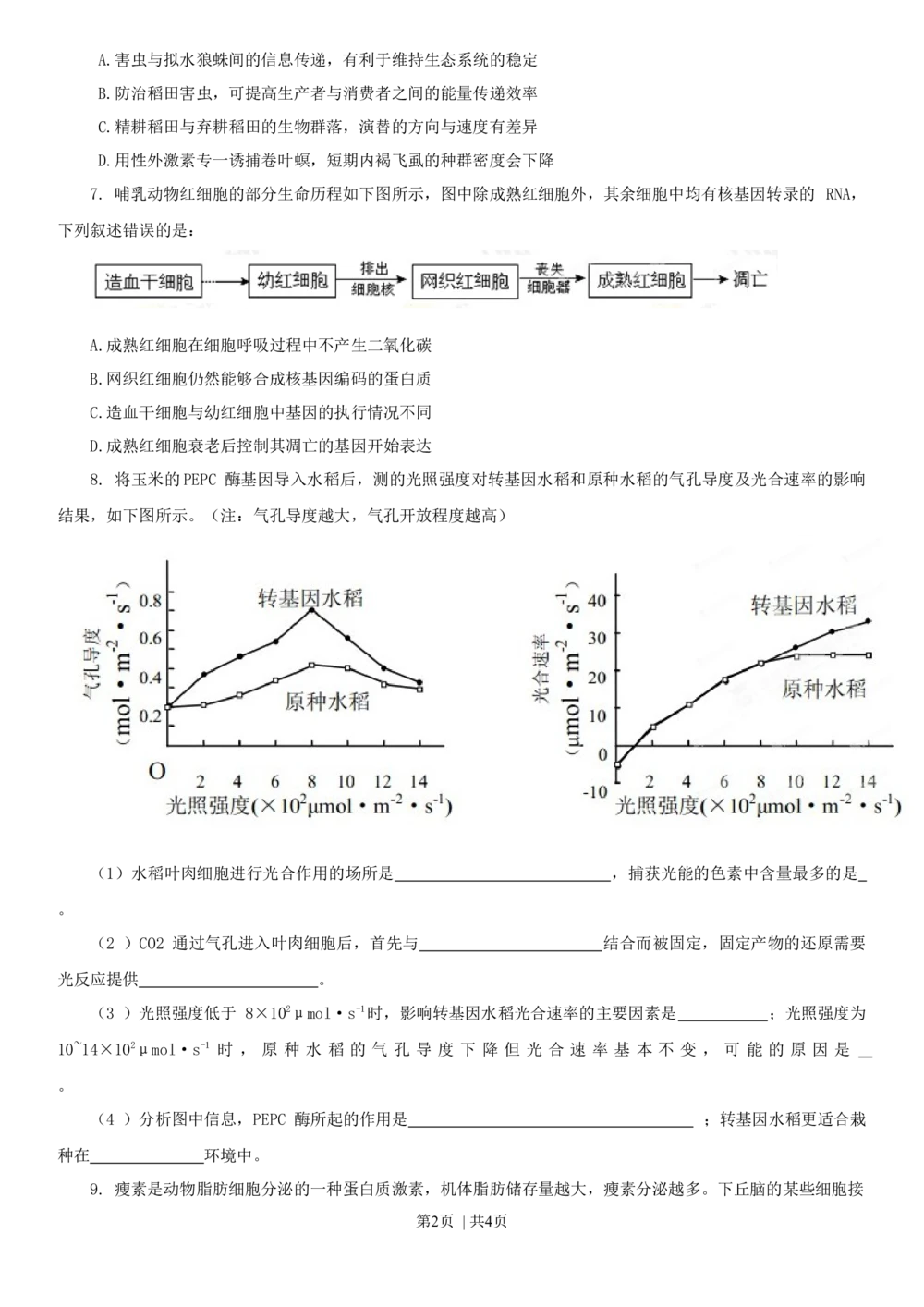 2013年高考生物试卷（四川）（空白卷）_生物历年高考真题_新&middot;Word版2008-2025&middot;高考生物真题_生物（按年份分类）2008-2025_2013&middot;高考生物真题