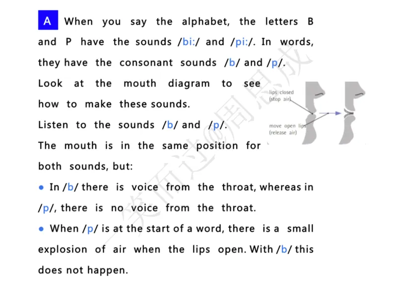 系统口语班第三季（22寒假）_26考研复试_10考研复试资料25_增值服务