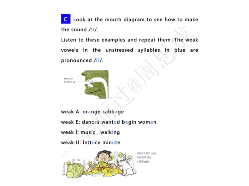 系统口语班第三季（22寒假）_26考研复试_10考研复试资料25_增值服务
