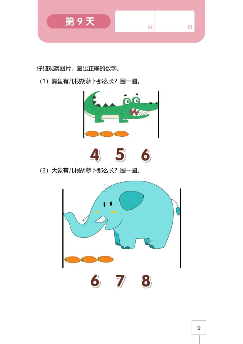 21天数感练习册（4岁即将升中班）_幼小语数英专项资料_幼小数学专项