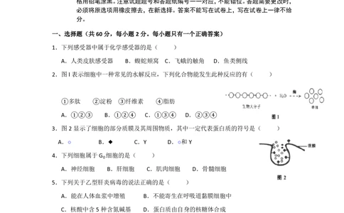 2013年高考生物试卷（上海）（空白卷）_生物历年高考真题_新&middot;PDF版2008-2025&middot;高考生物真题_生物（按年份分类）2008-2025_2013&middot;高考生物真题