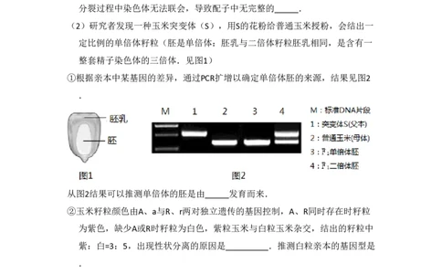 2017年高考生物试卷（北京）（空白卷）_生物历年高考真题_新&middot;PDF版2008-2025&middot;高考生物真题_生物（按年份分类）2008-2025_2017&middot;高考生物真题