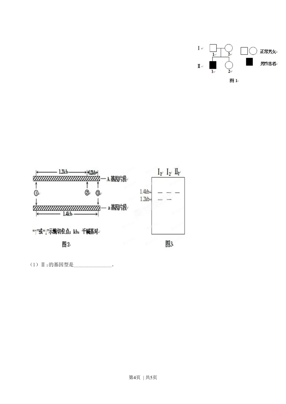 2013年高考生物试卷（安徽）（空白卷）_生物历年高考真题_新&middot;Word版2008-2025&middot;高考生物真题_生物（按年份分类）2008-2025_2013&middot;高考生物真题