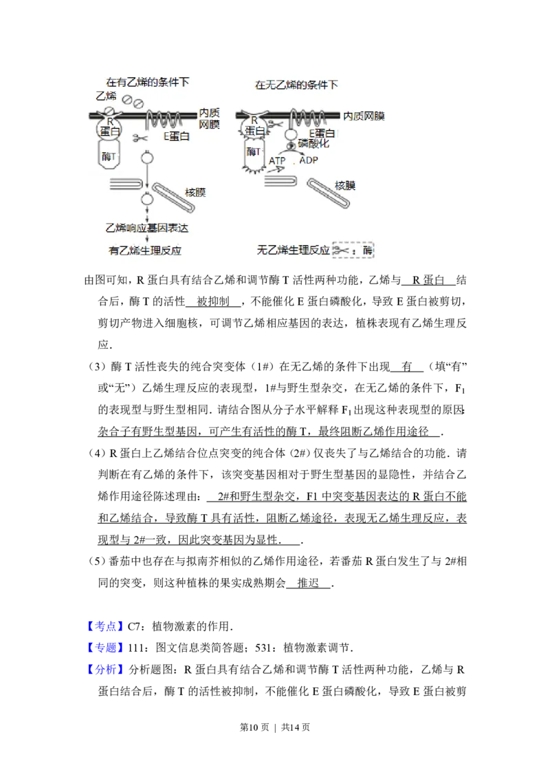 2016年高考生物试卷（北京）（解析卷）_生物历年高考真题_新&middot;PDF版2008-2025&middot;高考生物真题_生物（按年份分类）2008-2025_2016&middot;高考生物真题