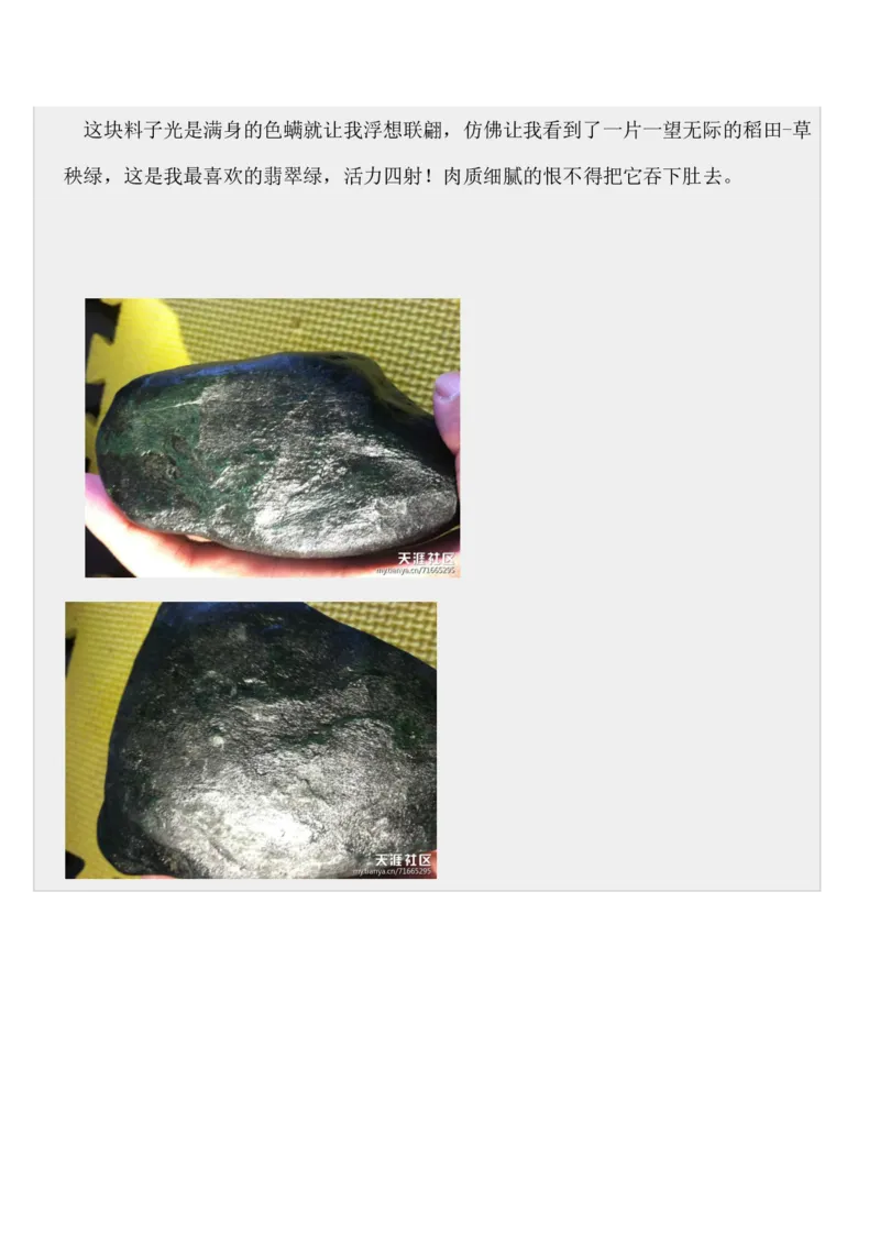 如何开好赌石店_X018-玉石珠宝鉴定教程最新合集_8、玉石翡翠鉴定与投资电子资料_赌石专题