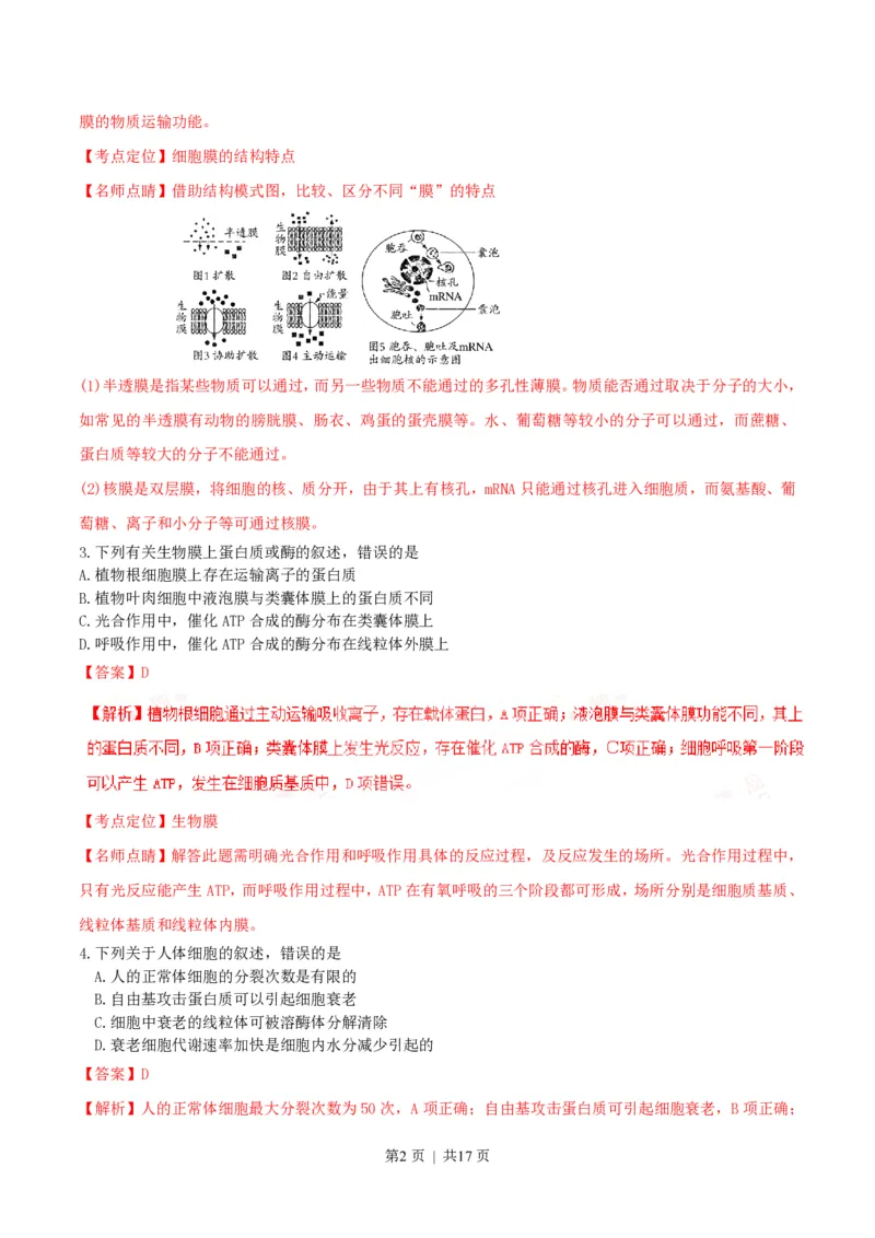 2016年高考生物试卷（海南）（解析卷）_生物历年高考真题_新&middot;PDF版2008-2025&middot;高考生物真题_生物（按试卷类型分类）2008-2025_自主命题卷&middot;生物（2008-2025）_海南自主命题&middot;生物（2008-2024）