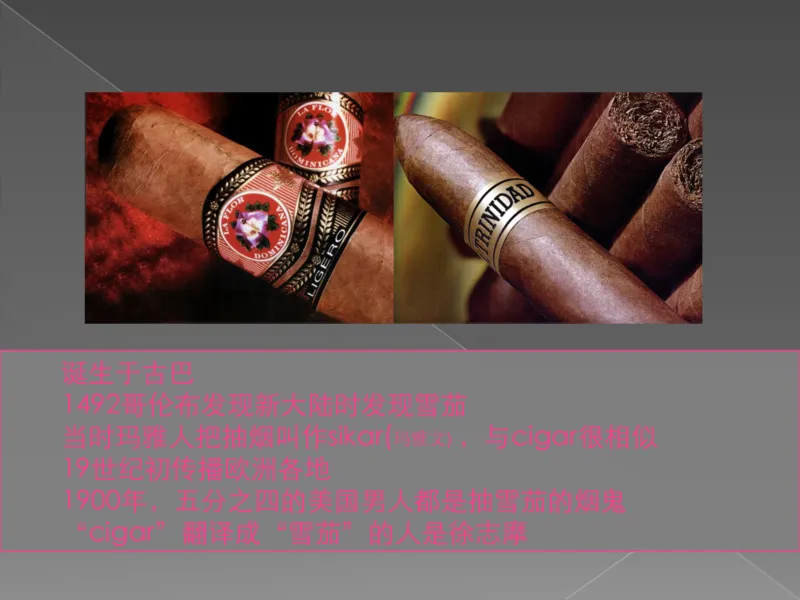 奢侈品培训-合订本(下)_X017-奢侈品鉴定教程最新合集_赠品3奢侈品培训电子书