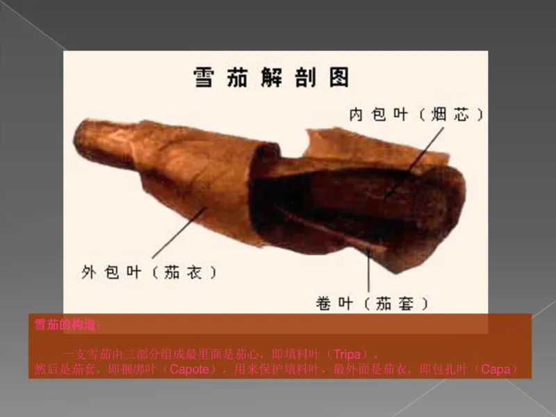 奢侈品培训-合订本(下)_X017-奢侈品鉴定教程最新合集_赠品3奢侈品培训电子书