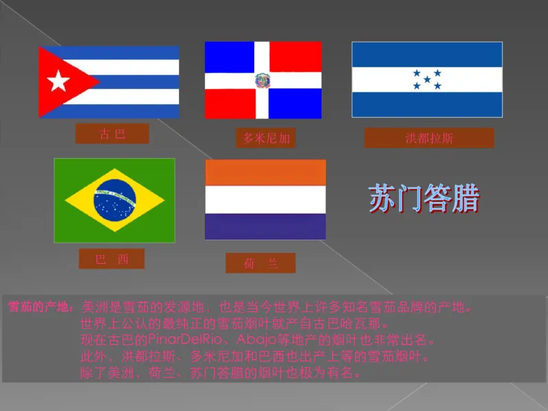 奢侈品培训-合订本(下)_X017-奢侈品鉴定教程最新合集_赠品3奢侈品培训电子书