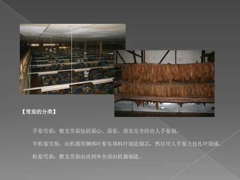 奢侈品培训-合订本(下)_X017-奢侈品鉴定教程最新合集_赠品3奢侈品培训电子书