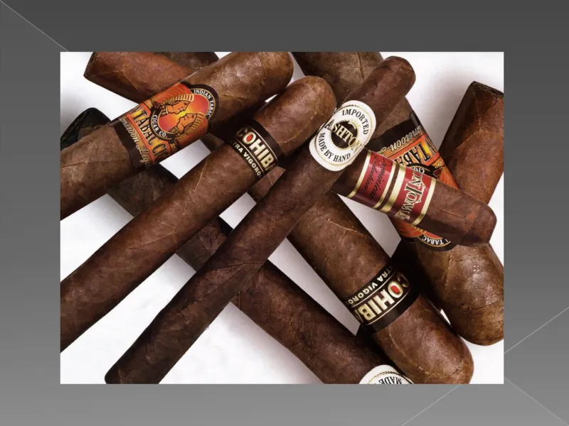 奢侈品培训-合订本(下)_X017-奢侈品鉴定教程最新合集_赠品3奢侈品培训电子书