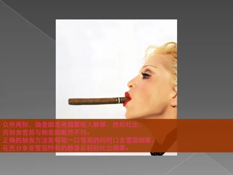 奢侈品培训-合订本(下)_X017-奢侈品鉴定教程最新合集_赠品3奢侈品培训电子书