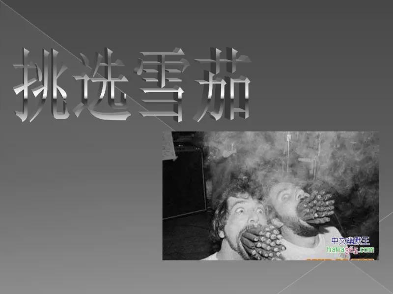 奢侈品培训-合订本(下)_X017-奢侈品鉴定教程最新合集_赠品3奢侈品培训电子书